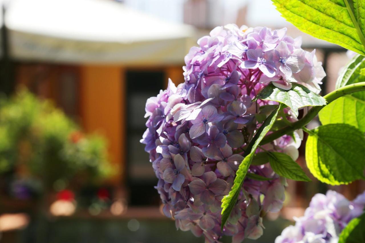 Bed and Breakfast Casa Rosaria Amalfi Coast Vietri Zewnętrze zdjęcie