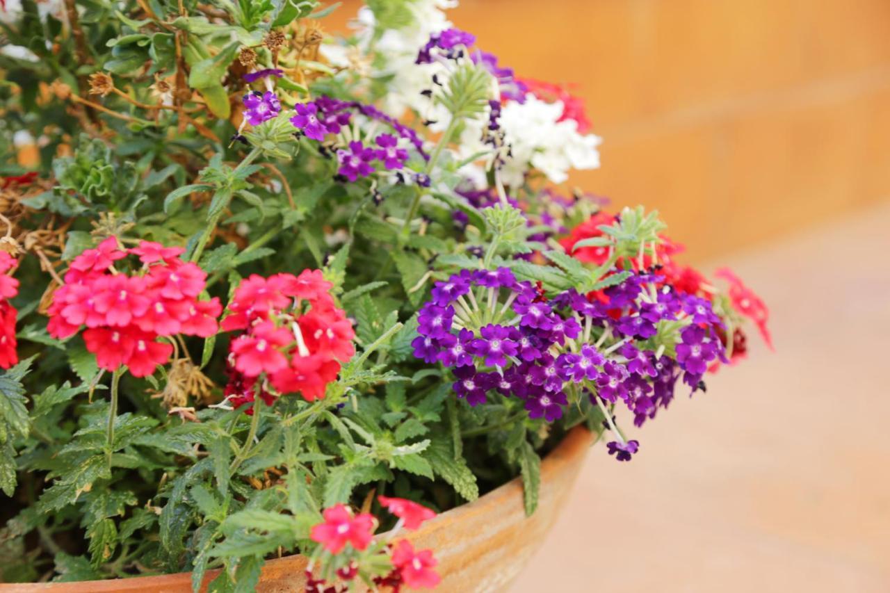Bed and Breakfast Casa Rosaria Amalfi Coast Vietri Zewnętrze zdjęcie